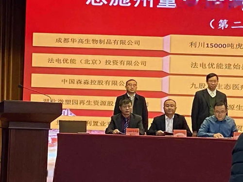 利川再迎新投資高峰 52.3億元重大項(xiàng)目成功簽約